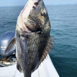 今日はタイラバ釣り